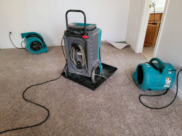 Best Mold removal after water damage  in Seneca Knolls, NY
