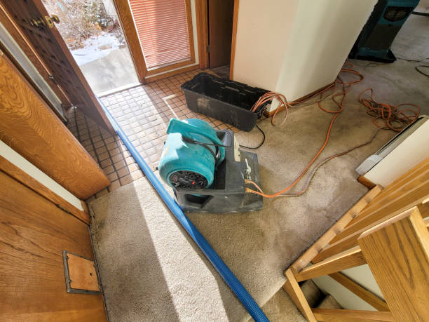 Best Flood restoration services  in Seneca Knolls, NY