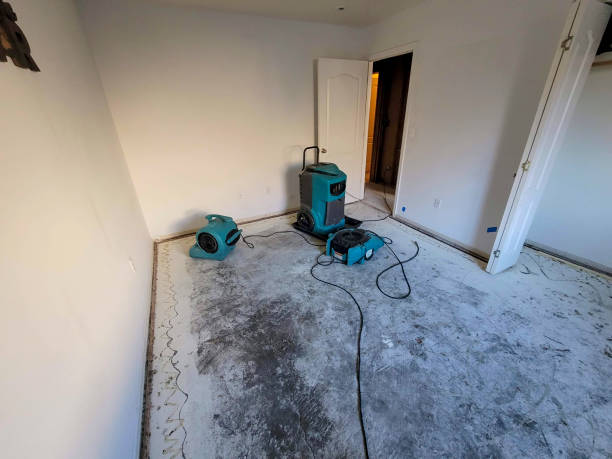 Best Professional water damage repair  in Seneca Knolls, NY