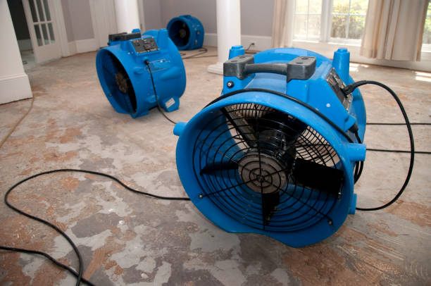 Best Water damage contractors near me  in Seneca Knolls, NY