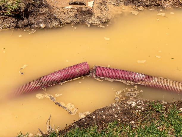 Best Residential water damage restoration  in Seneca Knolls, NY