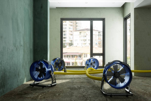 Best Basement water damage restoration  in Seneca Knolls, NY